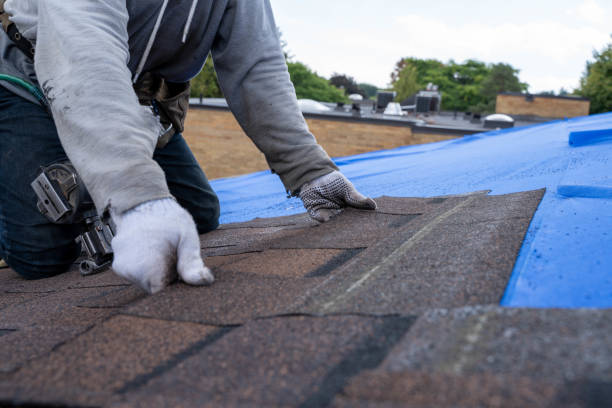 Best Commercial Roofing Services  in Farmersburg, IN