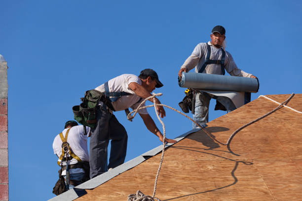 Best Roof Repair Services  in Farmersburg, IN